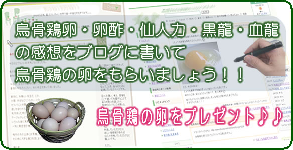 烏骨鶏の卵・卵酢・仙人力・黒龍,血龍の感想をブログに書いて烏骨鶏の卵をもらいましょう！！