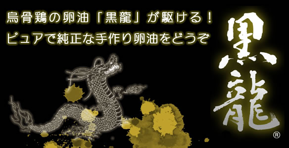 烏骨鶏の卵油 黒龍が駆ける。烏骨鶏の卵油「黒龍」